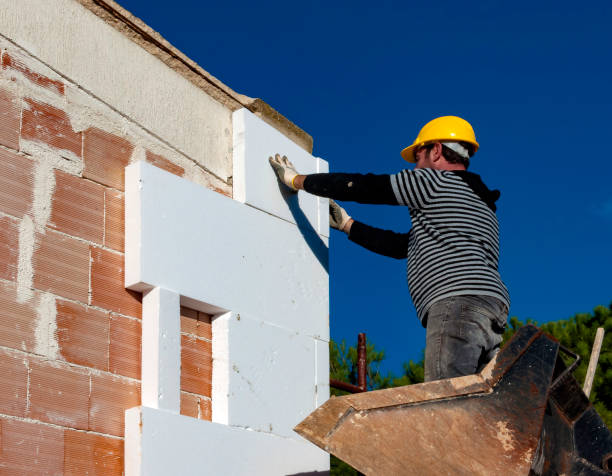 Best Commercial Insulation in Minorca, LA