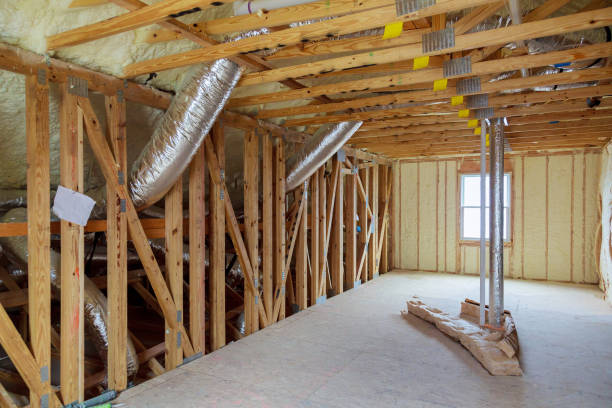 Professional Insulation Contractor in LA