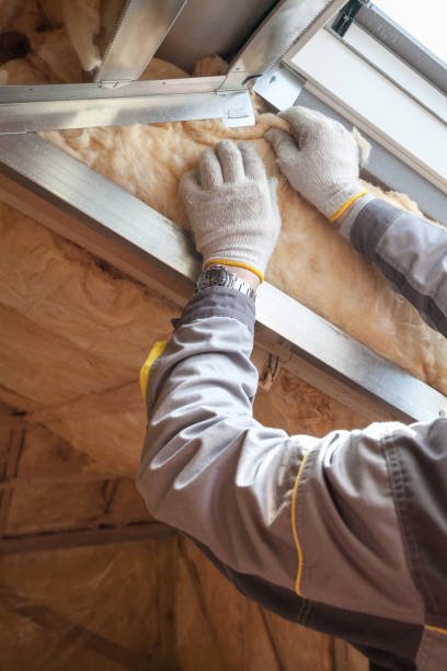 Best Commercial Insulation in Minorca, LA