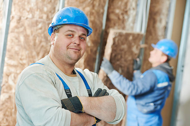 Best Insulation Maintenance and Repair in Minorca, LA