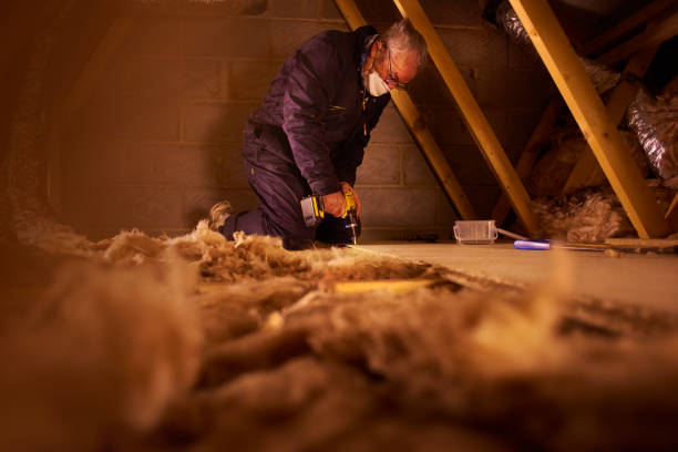 Best Insulation Materials and Products in Minorca, LA
